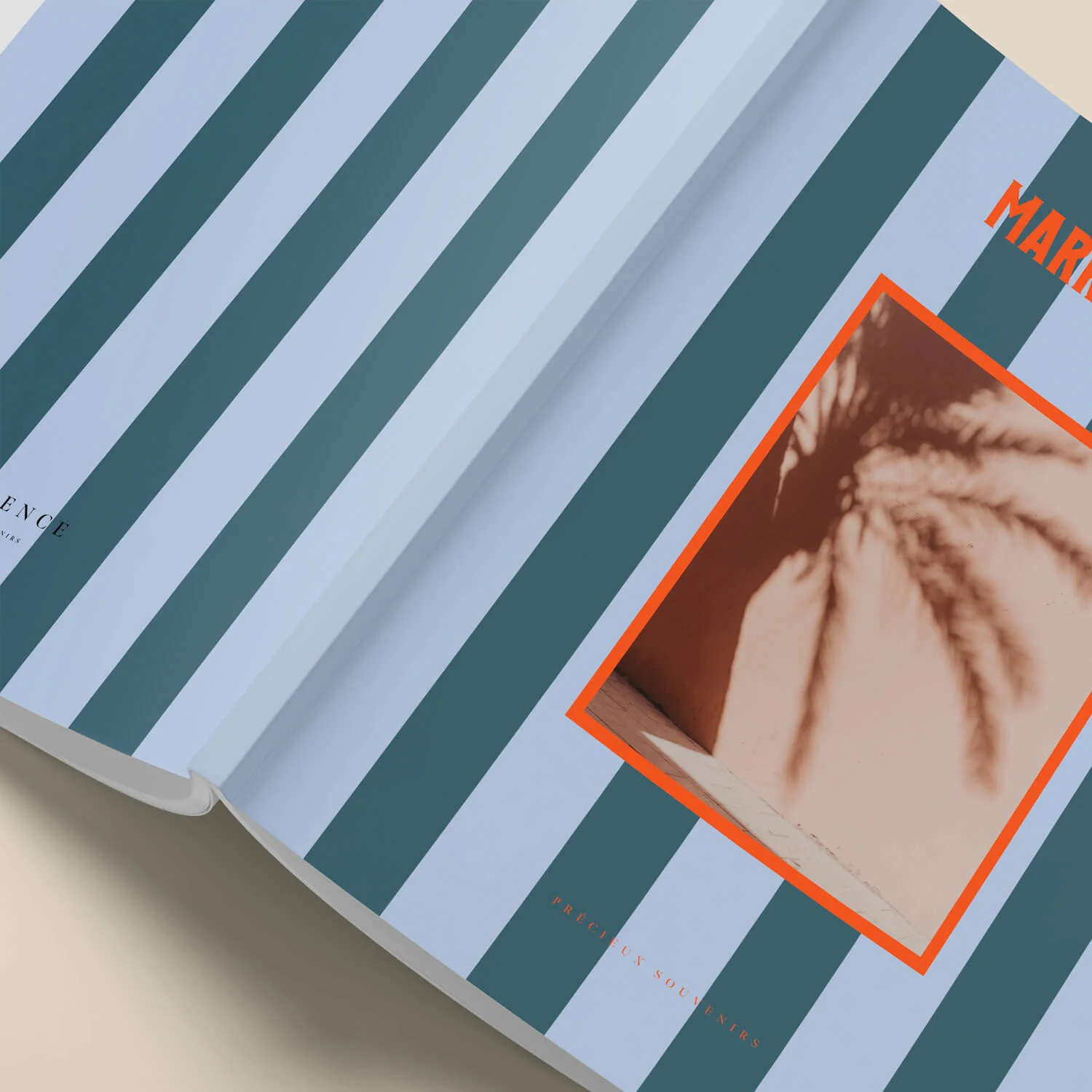 Album Bambou Souple - Image 7