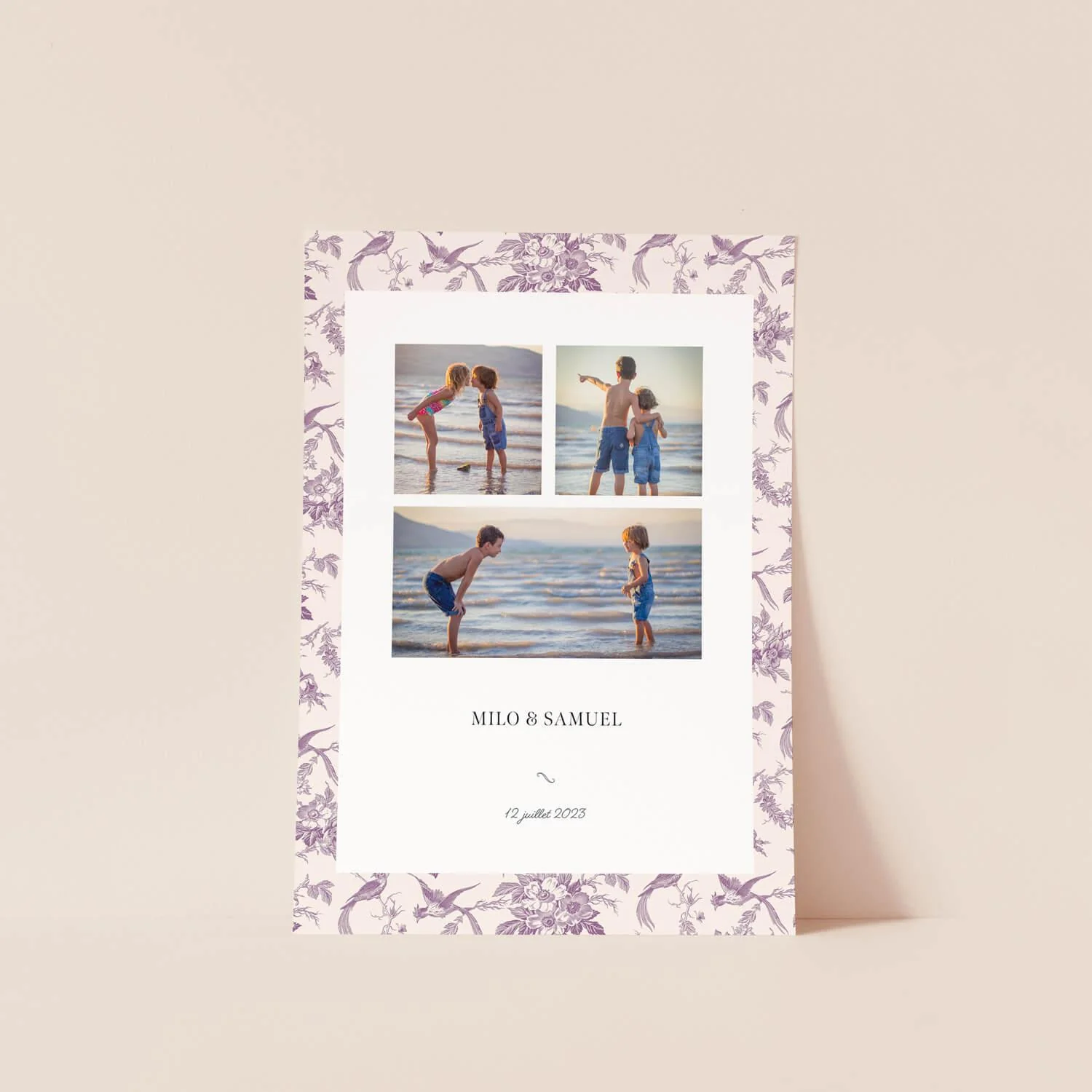 Affiche photo Plumes Mauve